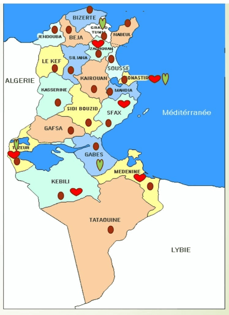Photo OXYTUNISIA : distribution de  104 concentrateurs d’oxygène 5l/min pour la Tunisie